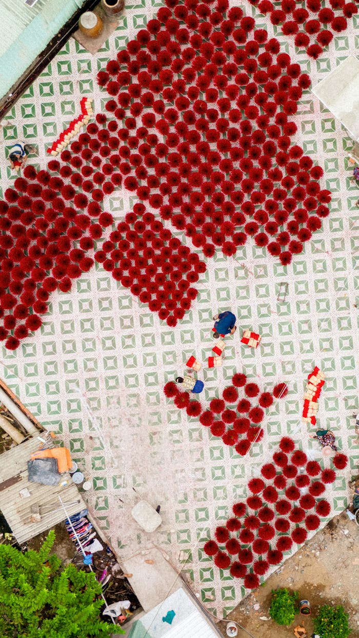 About Free stock photo of brilliant, colors, man worker